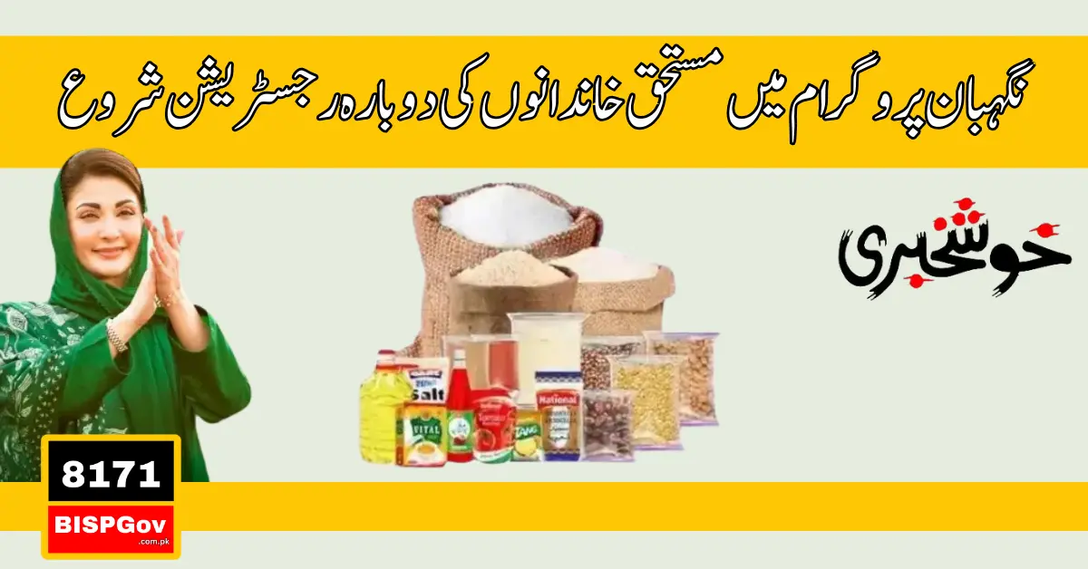 Maryam Nawaz Negahban Package