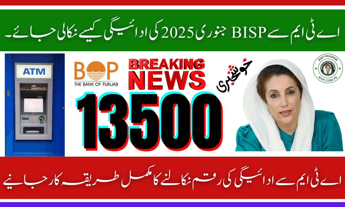 BISP January 2025 Payment