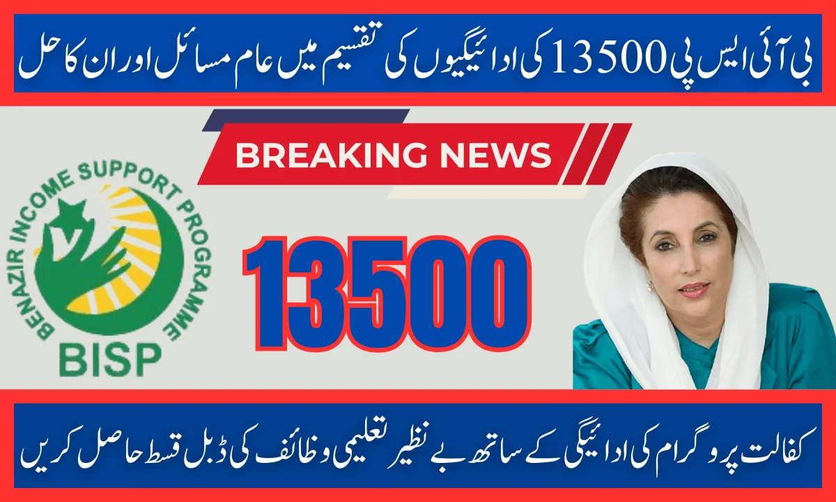 BISP 13500 Payment Distribution