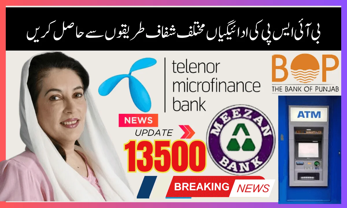 BISP 13500 Payments