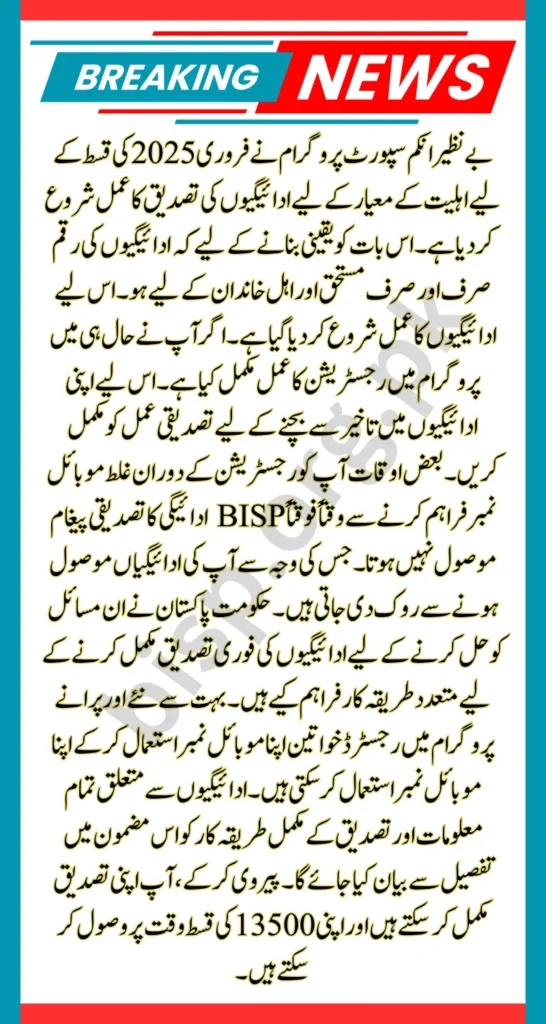 BISP February 2025 Payment