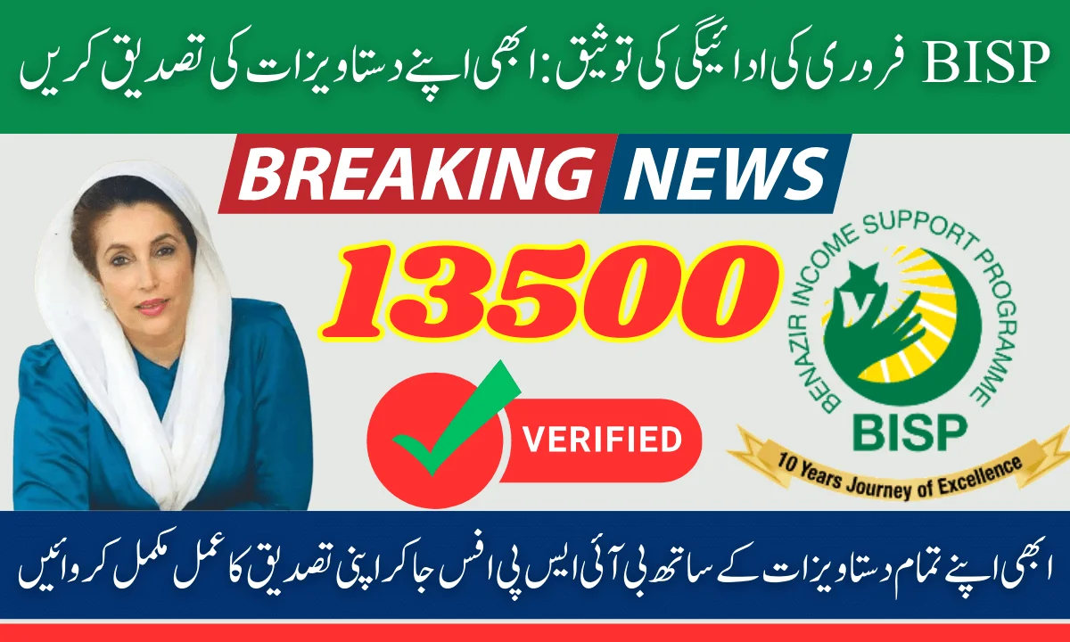 BISP February Payment Validation