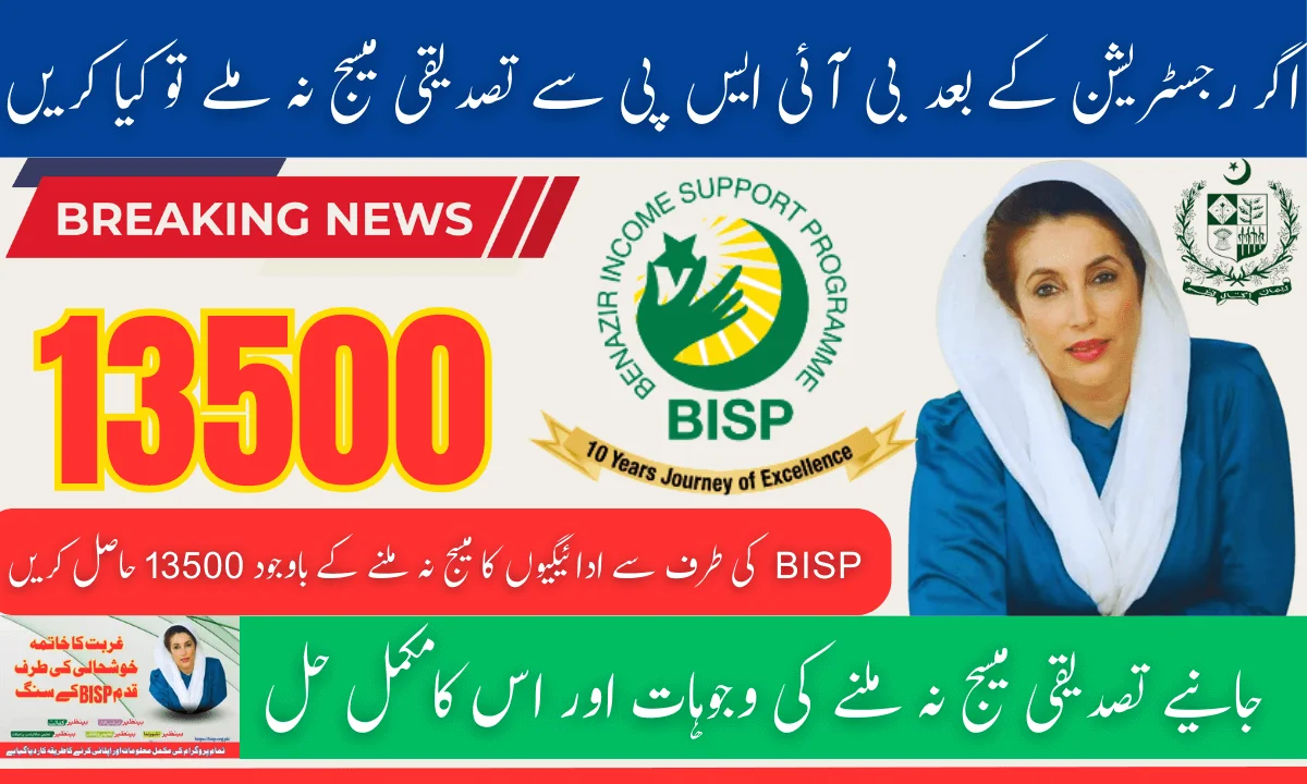 BISP Payment Status